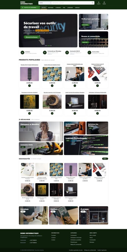 Aperçu du modèle DEMO INFORMATIQUE